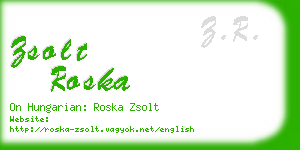 zsolt roska business card